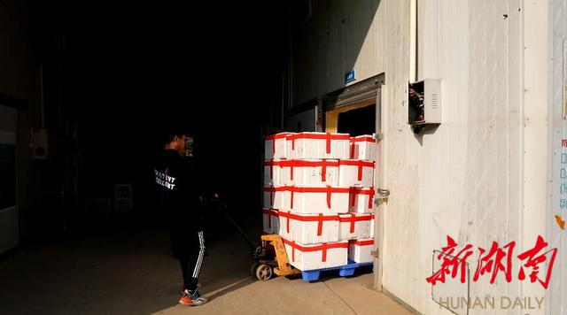 江华果蔬飘香大湾区 食用农产品的高质量发展之路
