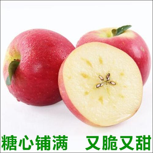 大凉山盐源糖心苹果 来自高原的冬日甜蜜，16斤特惠包邮